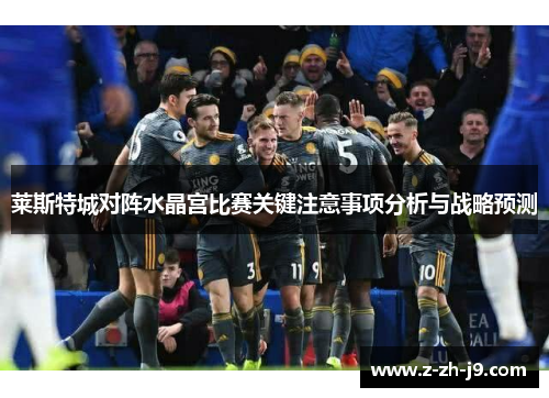 莱斯特城对阵水晶宫比赛关键注意事项分析与战略预测 莱斯特城对阵水晶宫比赛关键注意事项分析与战略预测