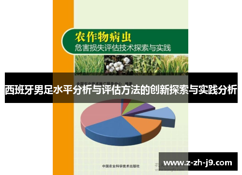 西班牙男足水平分析与评估方法的创新探索与实践分析