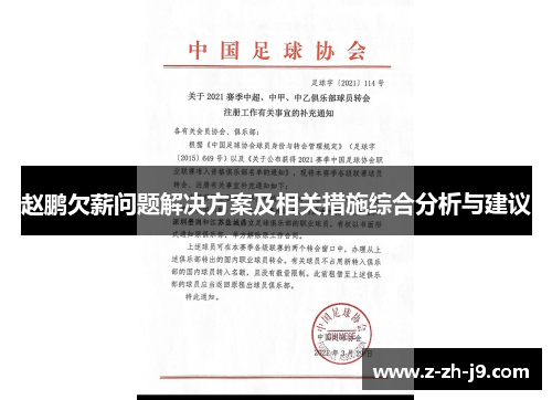 赵鹏欠薪问题解决方案及相关措施综合分析与建议